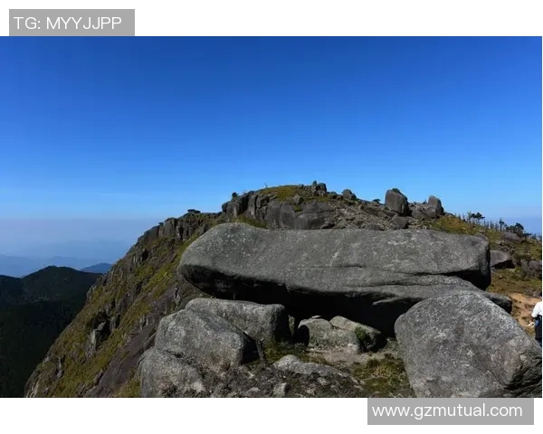 一步一步攀登高峰陈若琳的奥运冠军心态与奋斗精神的深度解析